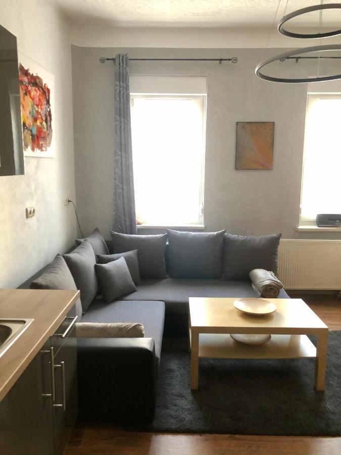 Delux Ferienwohnung Kunstgalerie Und Ilmradweg Kranichfeld Ngoại thất bức ảnh